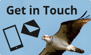 Get in Touch