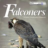 Read Raptor Awards published article here: